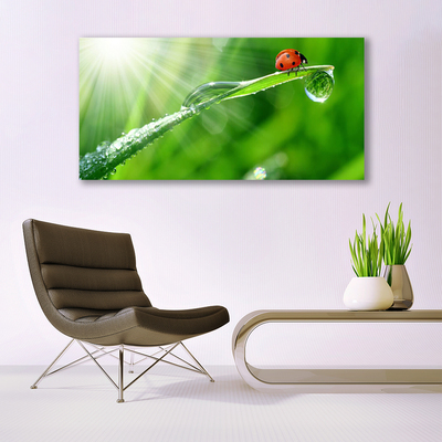Stiklo paveikslas Ladybug Nature Grass