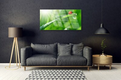 Stiklo paveikslas Ladybug Nature Grass
