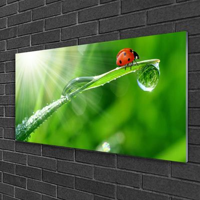 Stiklo paveikslas Ladybug Nature Grass
