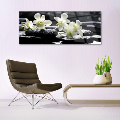 Stiklo paveikslas Orchidėjų akmenų augalas