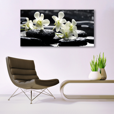 Stiklo paveikslas Orchidėjų akmenų augalas