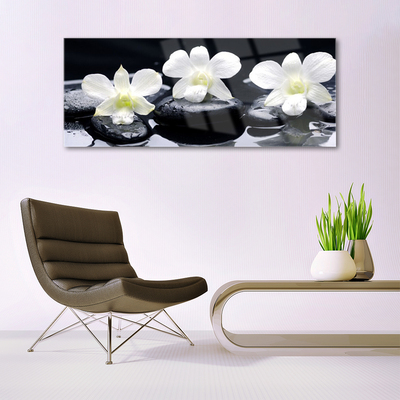 Stiklo paveikslas Orchidėjų akmenų augalas
