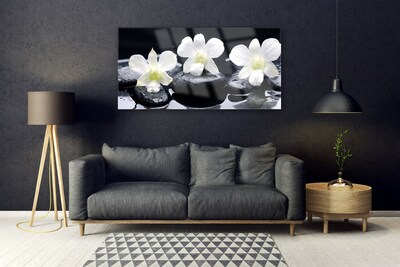 Stiklo paveikslas Orchidėjų akmenų augalas