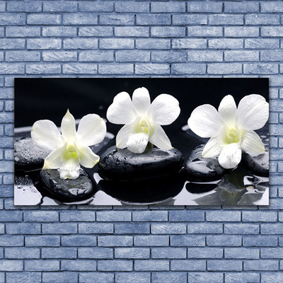 Stiklo paveikslas Orchidėjų akmenų augalas