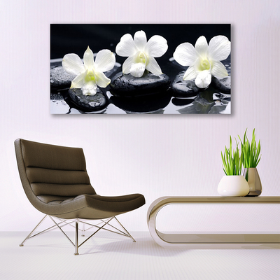 Stiklo paveikslas Orchidėjų akmenų augalas