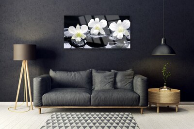 Stiklo paveikslas Orchidėjų akmenų augalas