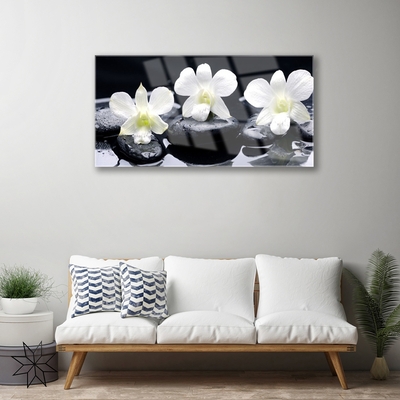 Stiklo paveikslas Orchidėjų akmenų augalas