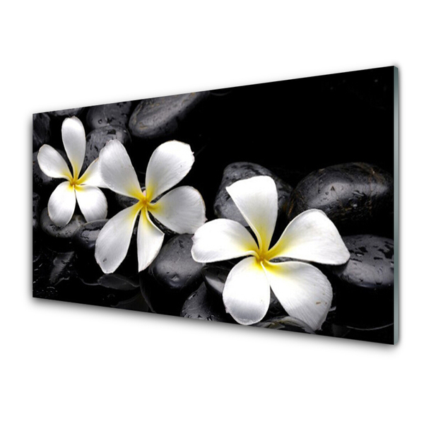 Stiklo paveikslas Plumeria gėlių augalas