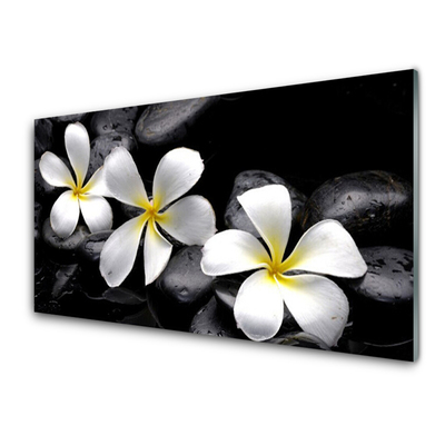 Stiklo paveikslas Plumeria gėlių augalas