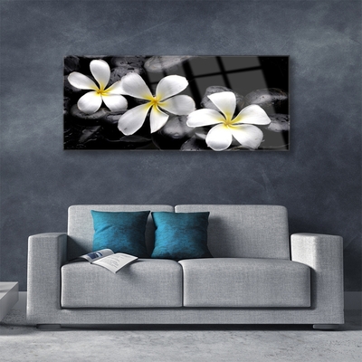 Stiklo paveikslas Plumeria gėlių augalas