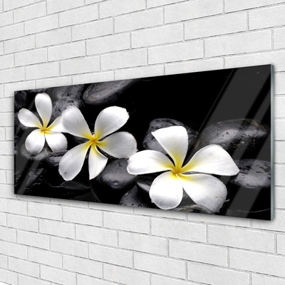 Stiklo paveikslas Plumeria gėlių augalas