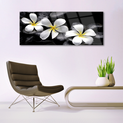 Stiklo paveikslas Plumeria gėlių augalas