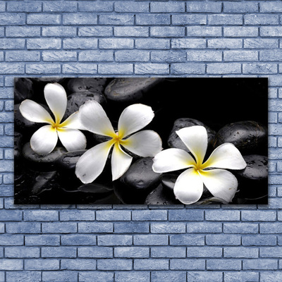 Stiklo paveikslas Plumeria gėlių augalas