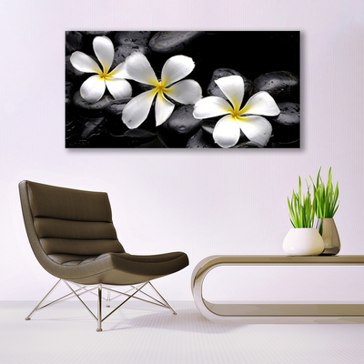 Stiklo paveikslas Plumeria gėlių augalas