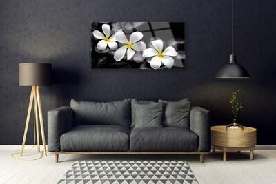 Stiklo paveikslas Plumeria gėlių augalas