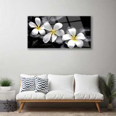 Stiklo paveikslas Plumeria gėlių augalas