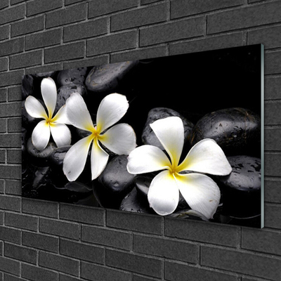 Stiklo paveikslas Plumeria gėlių augalas
