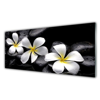 Stiklo paveikslas Plumeria gėlių augalas