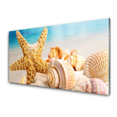 Paveikslas ant stiklo Starfish Shell Art