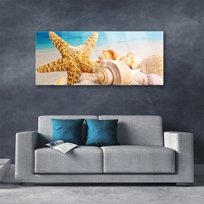 Paveikslas ant stiklo Starfish Shell Art