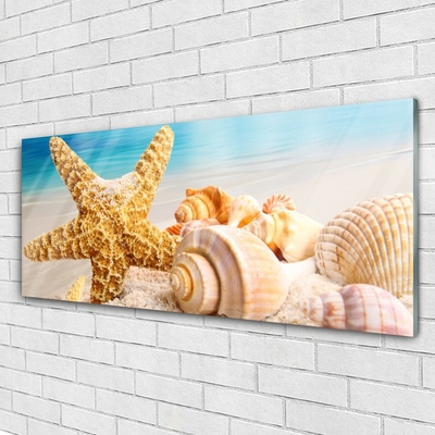 Paveikslas ant stiklo Starfish Shell Art