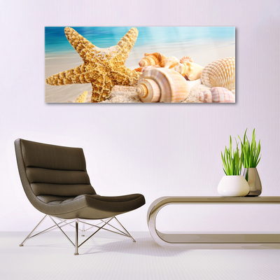 Paveikslas ant stiklo Starfish Shell Art