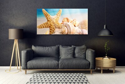 Paveikslas ant stiklo Starfish Shell Art