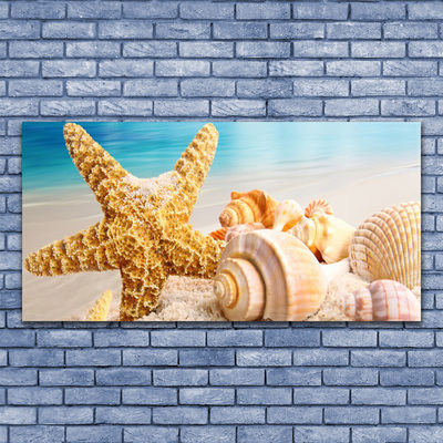 Paveikslas ant stiklo Starfish Shell Art