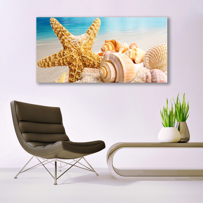 Paveikslas ant stiklo Starfish Shell Art