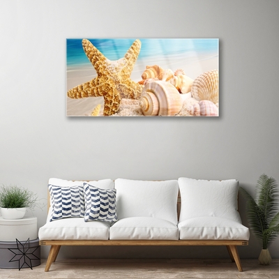 Paveikslas ant stiklo Starfish Shell Art