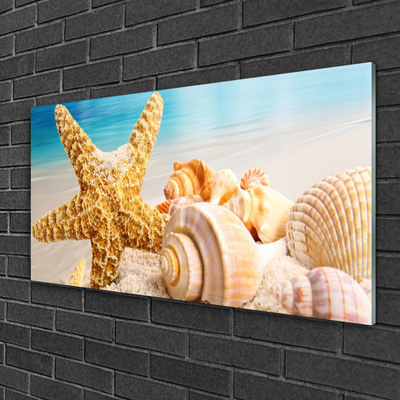 Paveikslas ant stiklo Starfish Shell Art