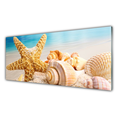 Paveikslas ant stiklo Starfish Shell Art