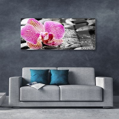 Paveikslas ant stiklo Gėlių akmenų orchidėja