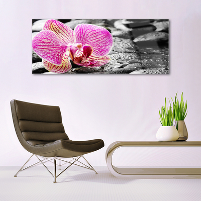 Paveikslas ant stiklo Gėlių akmenų orchidėja