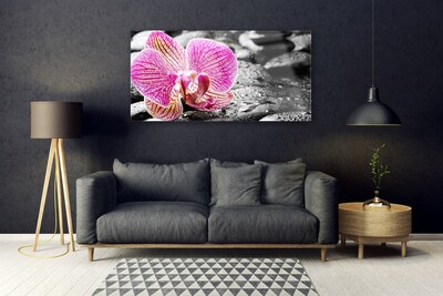 Paveikslas ant stiklo Gėlių akmenų orchidėja