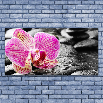 Paveikslas ant stiklo Gėlių akmenų orchidėja