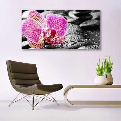 Paveikslas ant stiklo Gėlių akmenų orchidėja