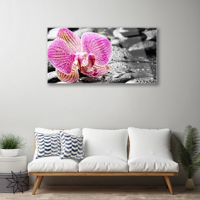Paveikslas ant stiklo Gėlių akmenų orchidėja