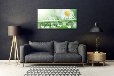 Stiklo paveikslas Rosa Leaf Daisies Gamta