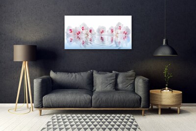 Paveikslas ant stiklo Gėlės Augalas Gamta Art