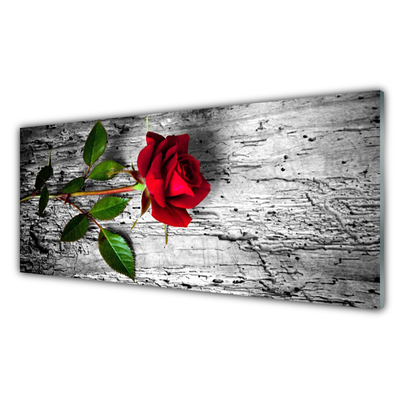 Stiklo paveikslas Rožių gėlių augalo gamta