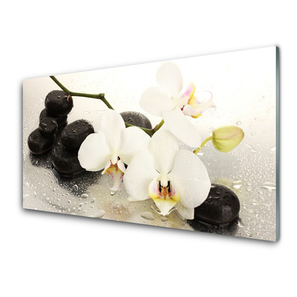 Stiklo paveikslas Gėlė Graži orchidėja