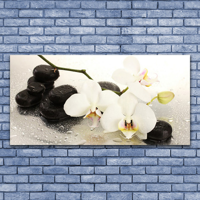 Stiklo paveikslas Gėlė Graži orchidėja