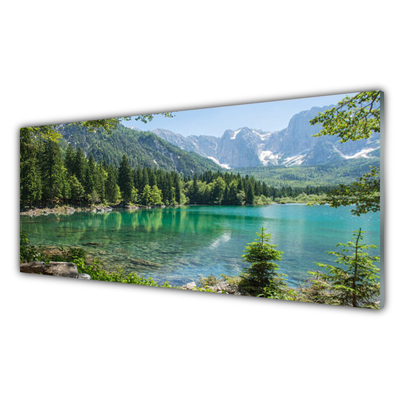 Stiklo paveikslas Kalnai Lake Forest Gamta