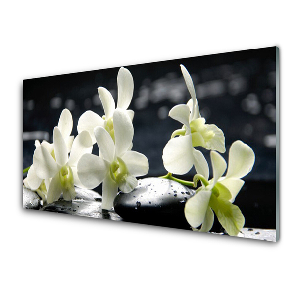 Stiklo paveikslas Gėlių orchidėjų augalas