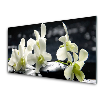 Stiklo paveikslas Gėlių orchidėjų augalas
