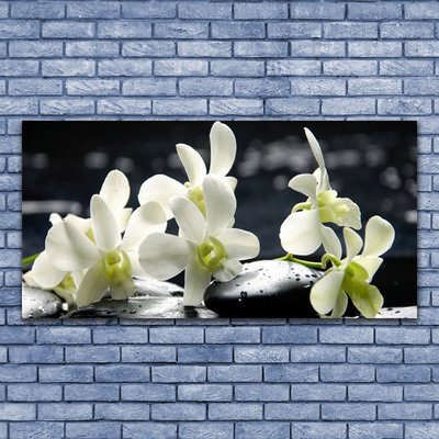 Stiklo paveikslas Gėlių orchidėjų augalas