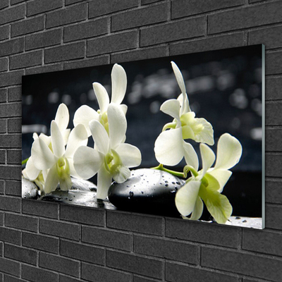 Stiklo paveikslas Gėlių orchidėjų augalas
