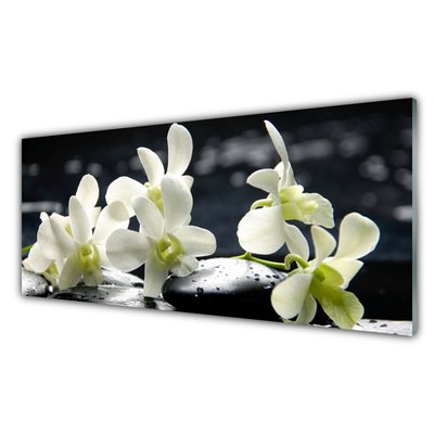 Stiklo paveikslas Gėlių orchidėjų augalas
