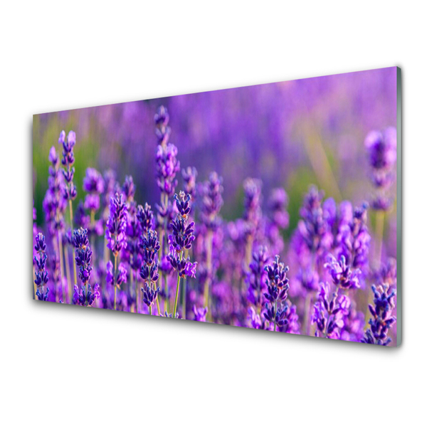 Paveikslas ant stiklo Violetinis levandų laukas